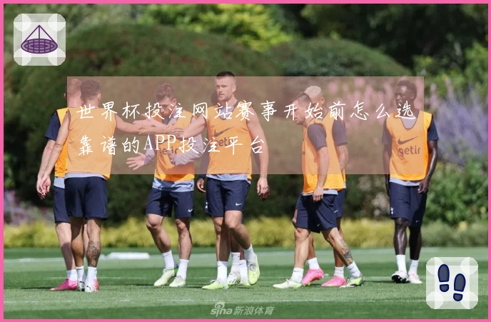 世界杯投注网站赛事开始前怎么选靠谱的APP投注平台