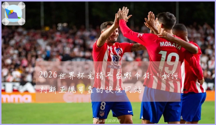 2026世界杯竞猜平台哪个好，如何判断正规可靠的投注网站