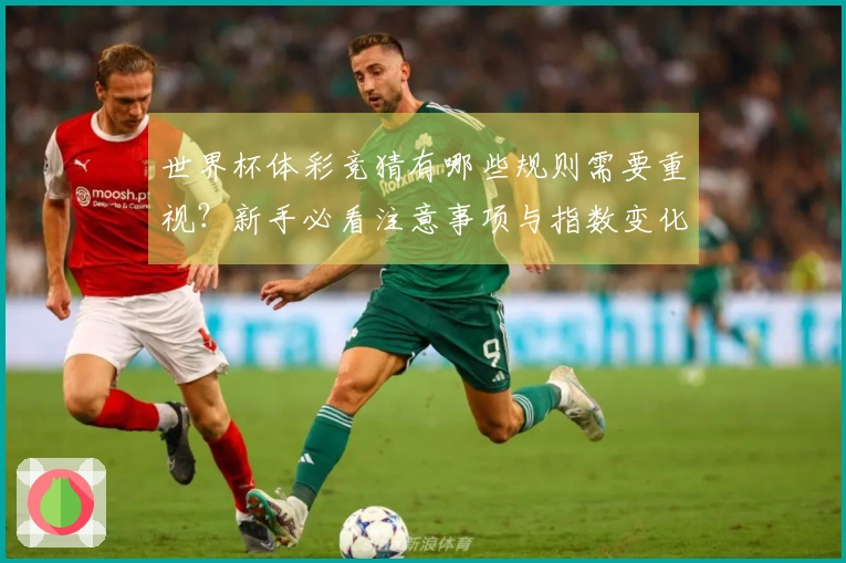 MK体育文章配图