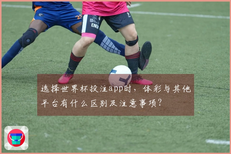 选择世界杯投注app时，体彩与其他平台有什么区别及注意事项？