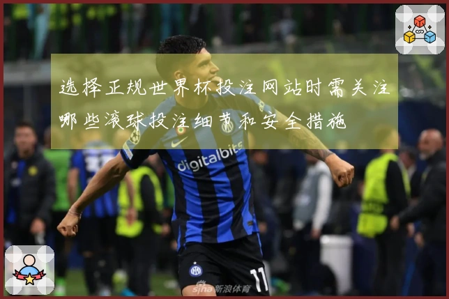 选择正规世界杯投注网站时需关注哪些滚球投注细节和安全措施