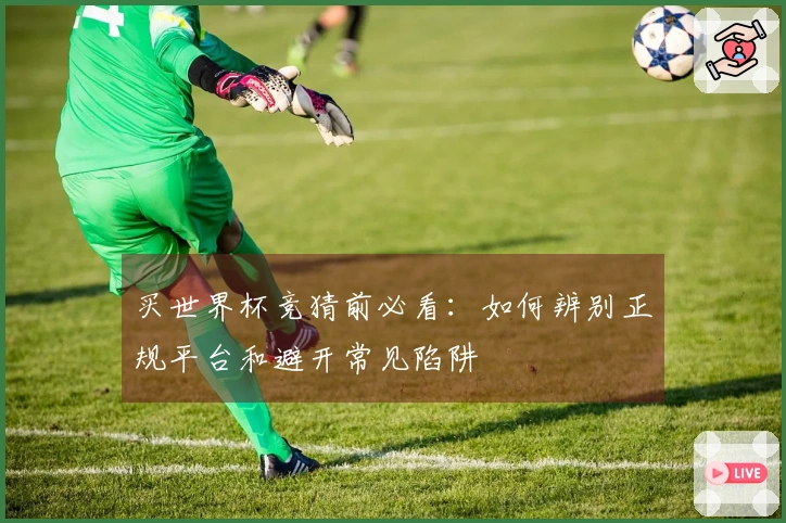 买世界杯竞猜前必看：如何辨别正规平台和避开常见陷阱