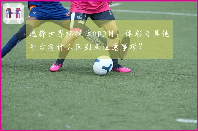 选择世界杯投注app时，体彩与其他平台有什么区别及注意事项？