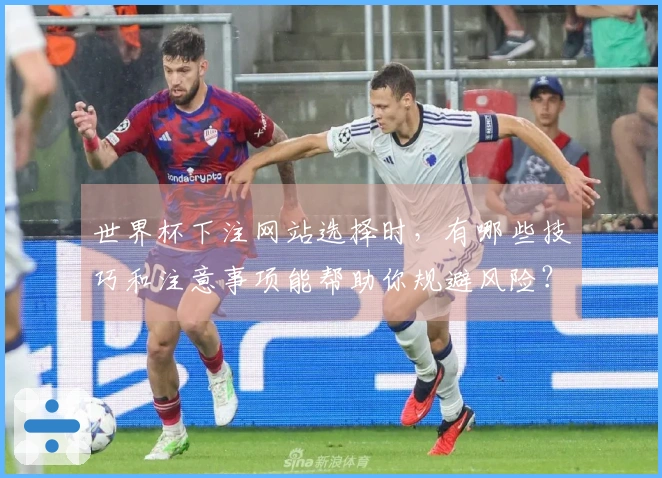 世界杯下注网站选择时，有哪些技巧和注意事项能帮助你规避风险？