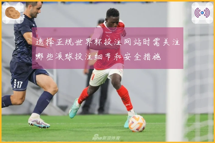 选择正规世界杯投注网站时需关注哪些滚球投注细节和安全措施