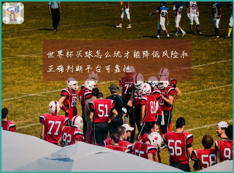 世界杯买球怎么玩才能降低风险和正确判断平台可靠性